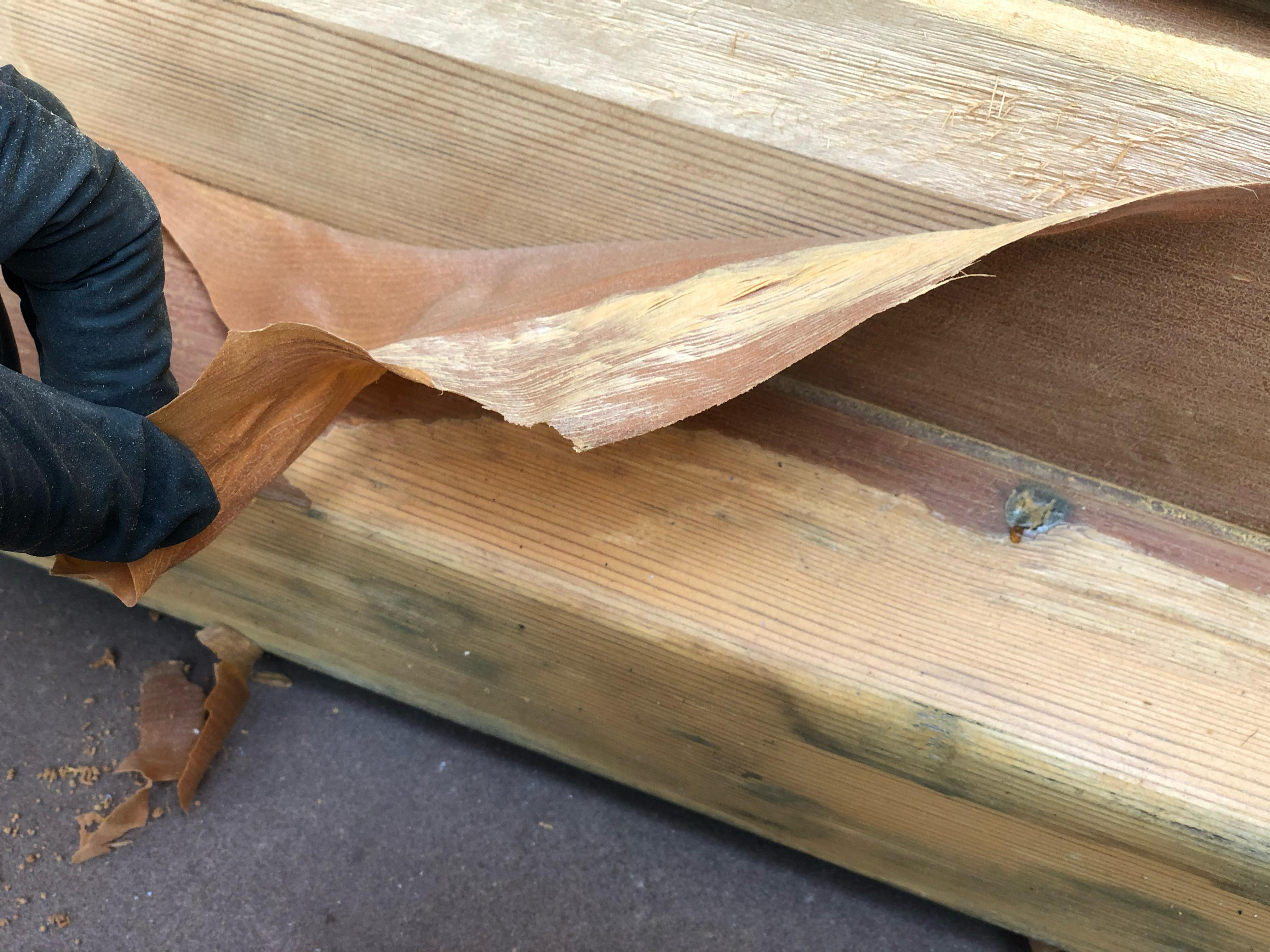 Verwitterte Holzfenster? Mit diesen Profi-Tipps sehen sie aus wie neu!