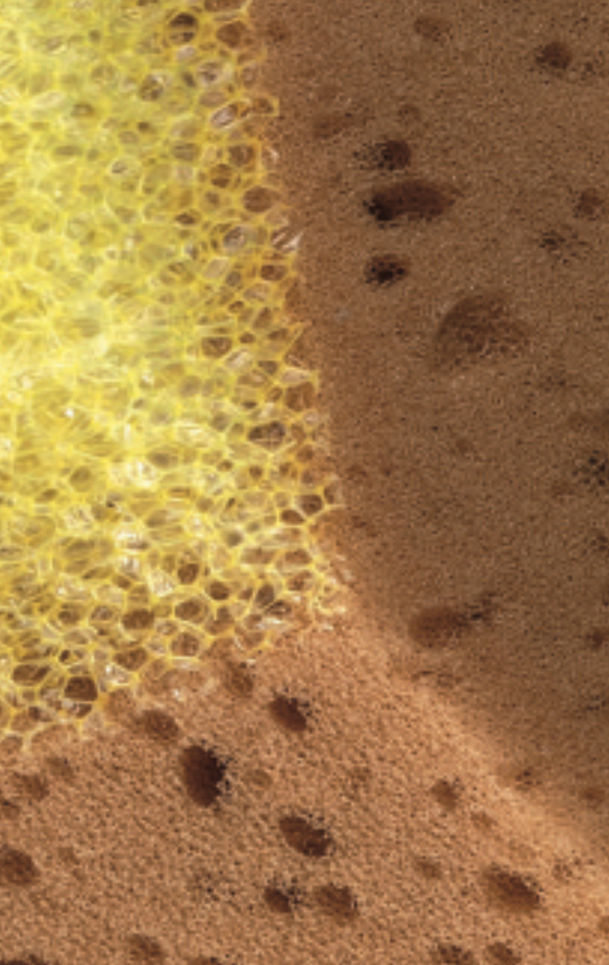 Gąbka syntetyczna ⎥ 150 × 90 × 60 mm