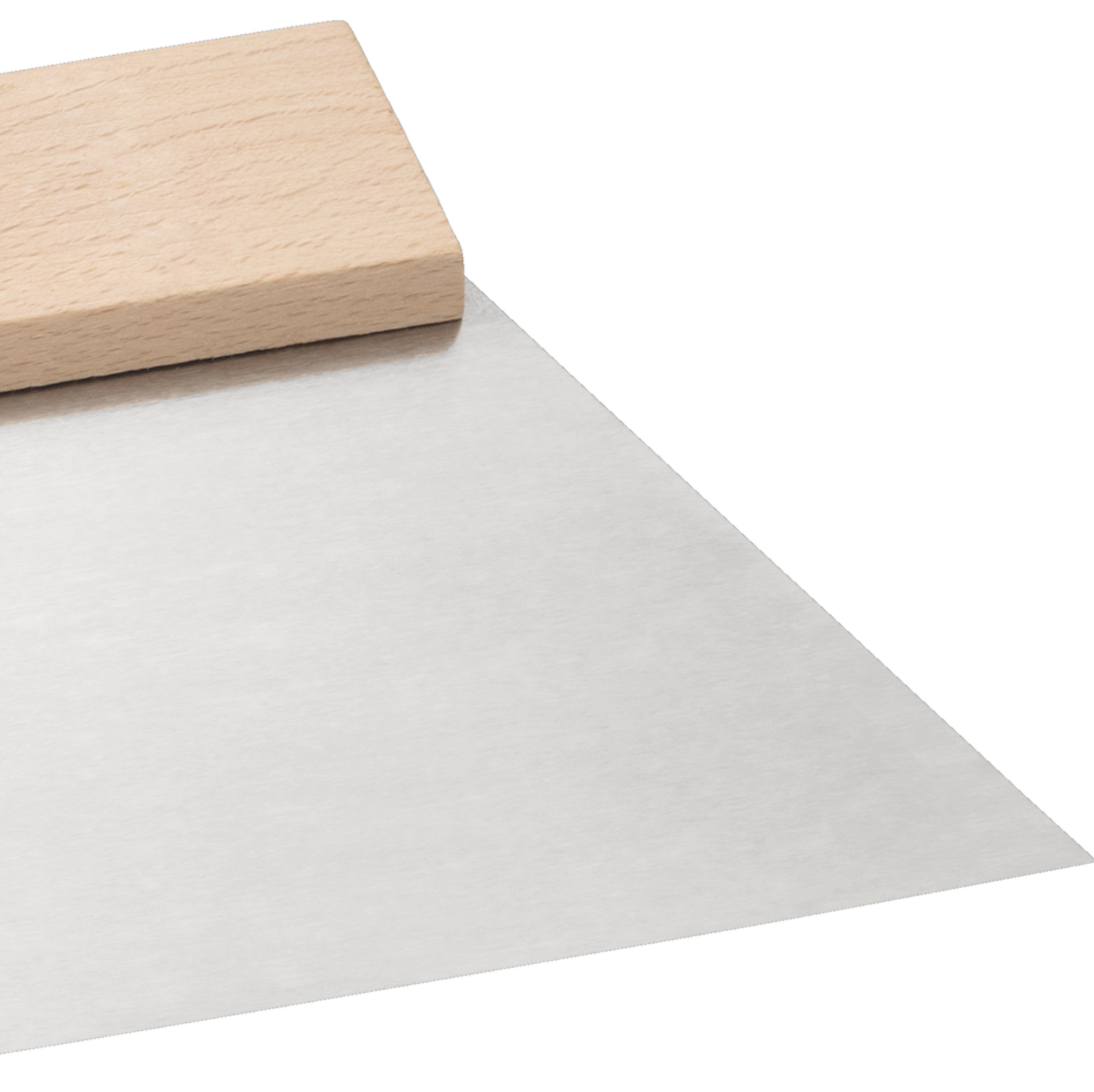 Szpachelka trapezowa_widok z bliska