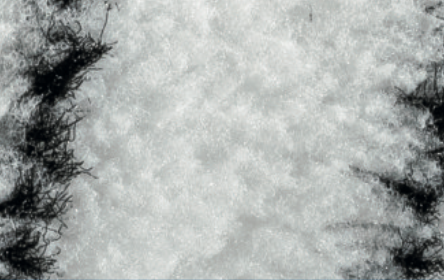 Wałek do dużych powierzchni "POLYTRON"_18 cm_widok z bliska