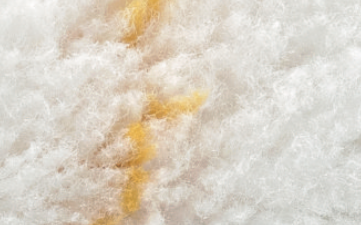 Wałek do dużych powierzchni Sentolan_widok z bliska