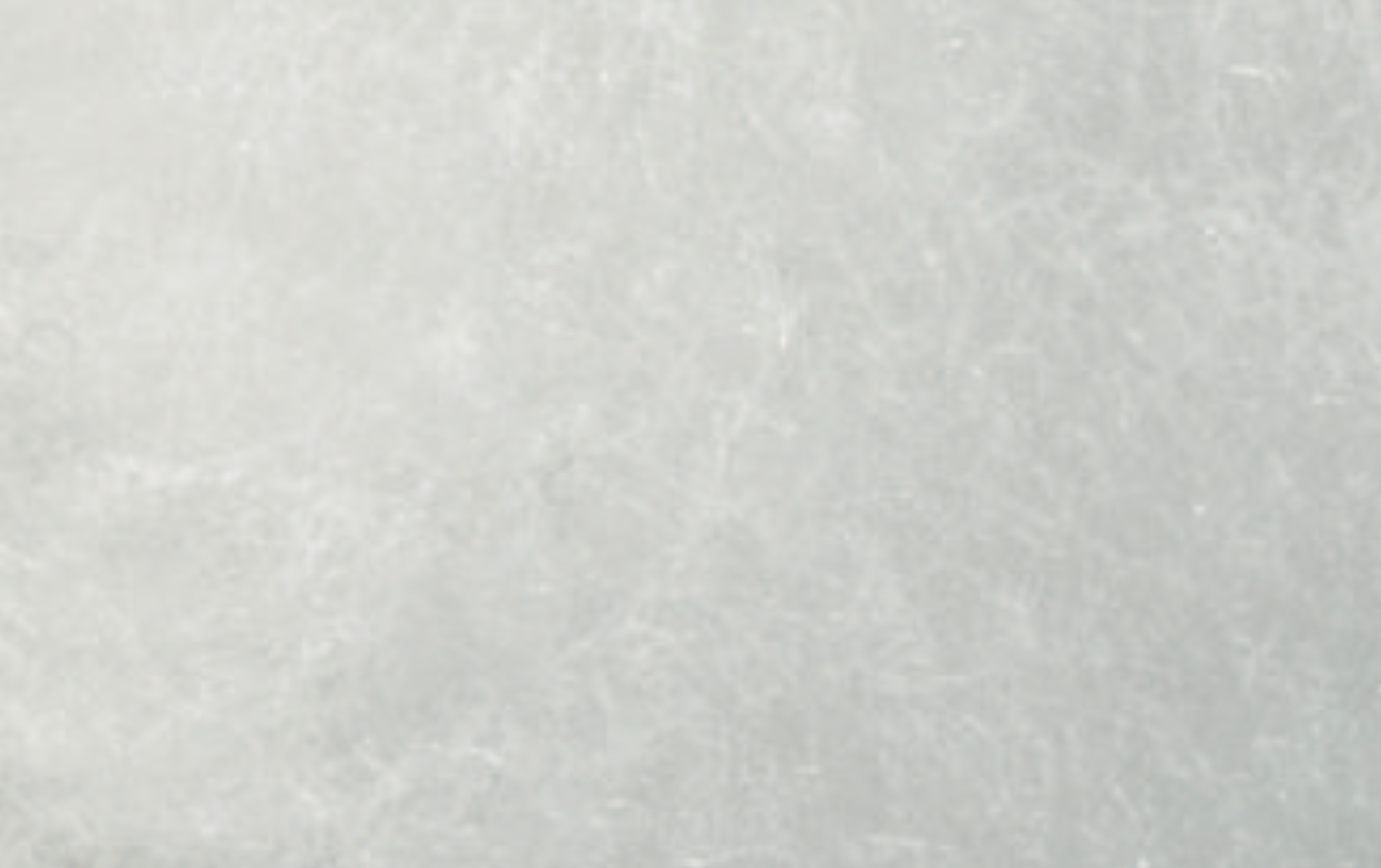 Wałek do dużych powierzchni Vestan Plus_25 cm_widok z bliska