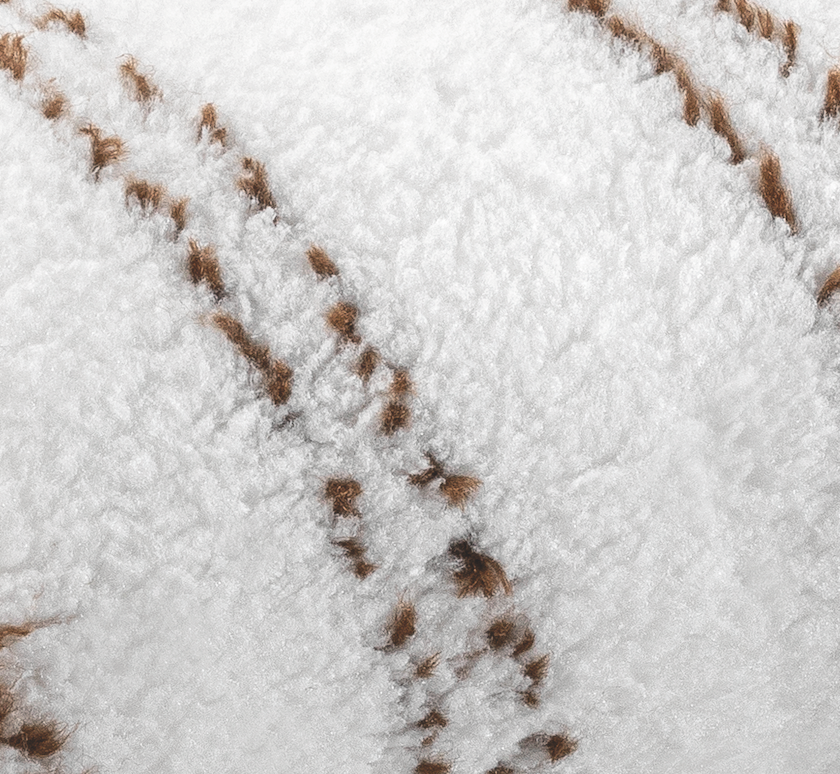 Wałek wielkopowierzchniowy Arbolon_widok z bliska